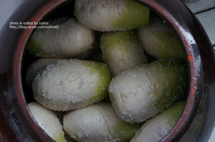 http://www.10000recipe.com/recipe/4406728 초보주부도 쉽게 동치미 담그는 법
