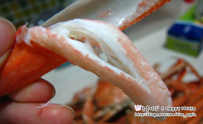 http://www.10000recipe.com/recipe/1772907 대게 손질하고 찌는법