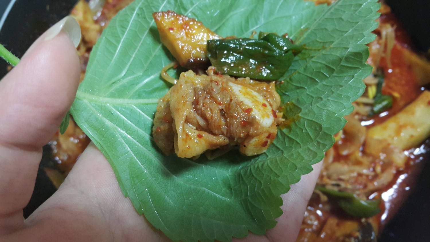 집밥 백선생 백종원의 콩나물불고기